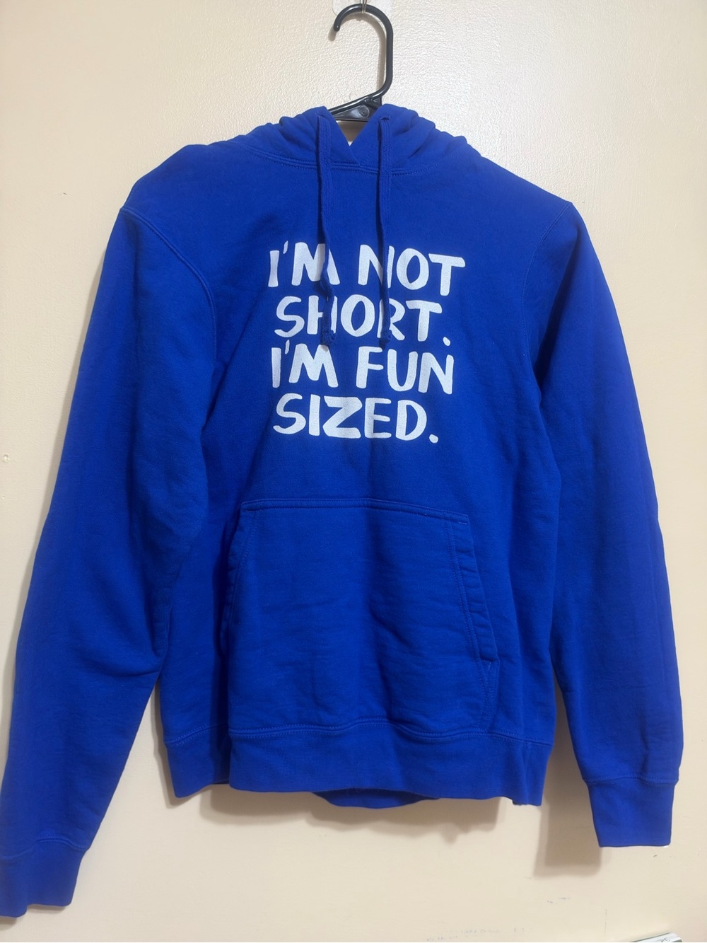 Blue Hoodies with 'I'm Not Short, I'm Fun Sized' Print